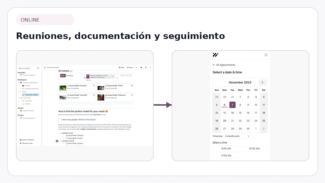 Reuniones y documentación para consultoría online